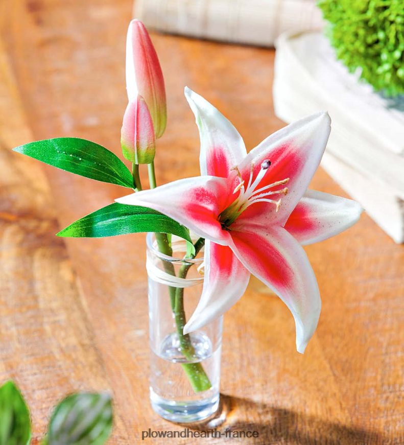 aspect réel, sensation de vrais lys stargazer, lot de 3 Plow & Hearth 8642F62361 articles ménagers