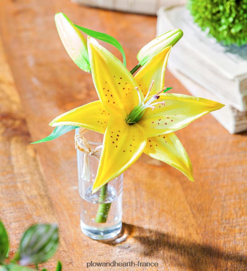 aspect réel, sensation de vrais lys stargazer, lot de 3 Plow & Hearth 8642F62361 articles ménagers