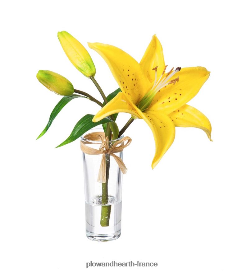 aspect réel, sensation de vrais lys stargazer, lot de 3 Plow & Hearth 8642F62361 articles ménagers