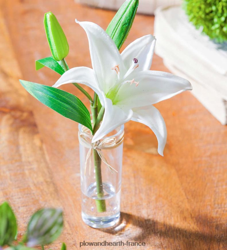 aspect réel, sensation de vrais lys stargazer, lot de 3 Plow & Hearth 8642F62361 articles ménagers