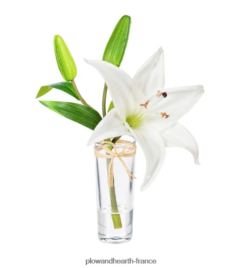 aspect réel, sensation de vrais lys stargazer, lot de 3 Plow & Hearth 8642F62361 articles ménagers