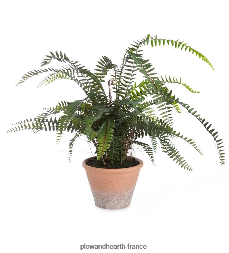 fausse vraie fougère artificielle en pot Plow & Hearth 8642F62432 articles ménagers