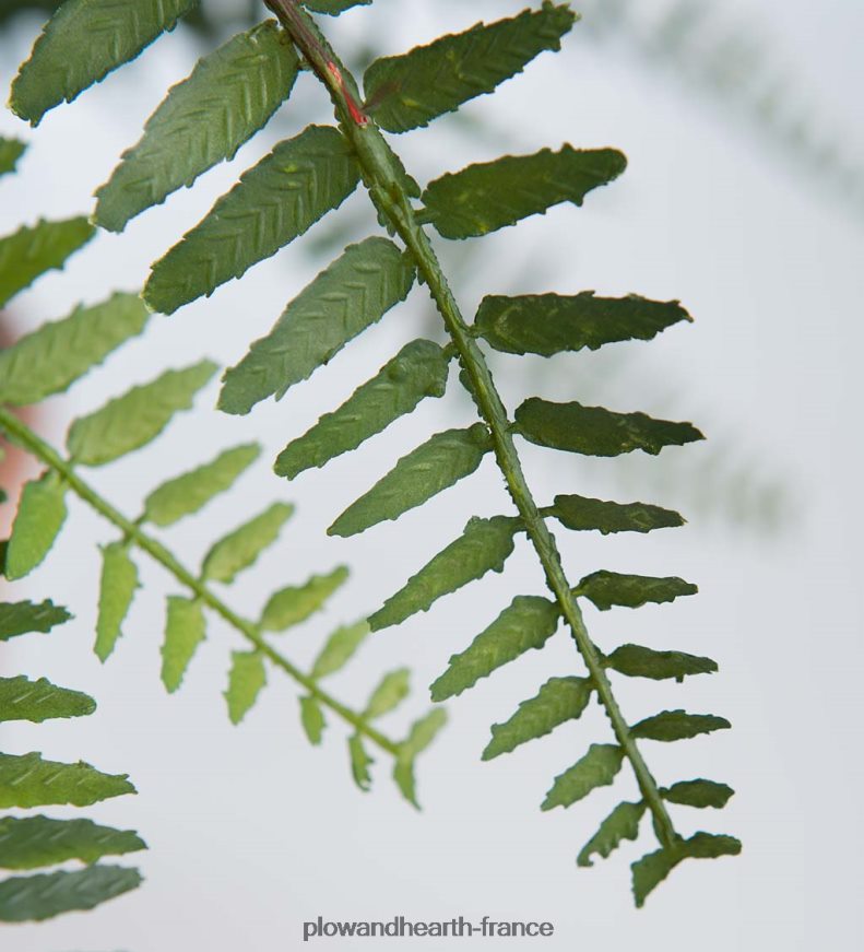 fausse vraie fougère artificielle en pot Plow & Hearth 8642F62432 articles ménagers