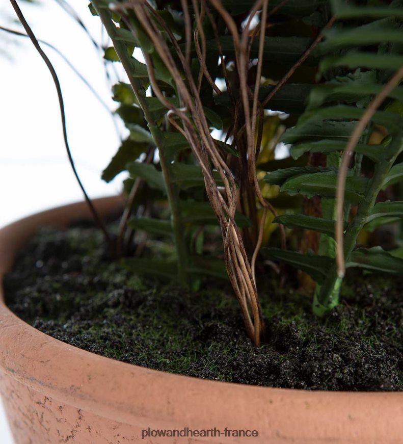 fausse vraie fougère artificielle en pot Plow & Hearth 8642F62432 articles ménagers