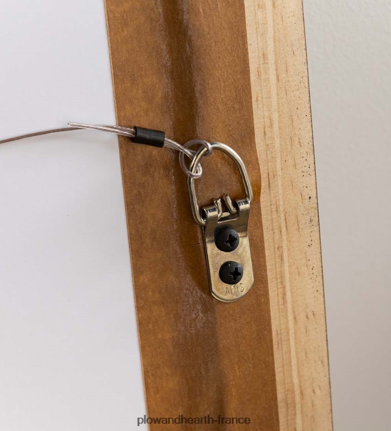 chouette barrée ii peinture d’art mural encadrée Plow & Hearth 8642F62514 articles ménagers