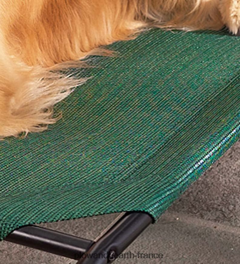petite couverture en maille de remplacement pour lit pour animaux de compagnie en maille surélevée résistante aux intempéries - vert Plow & Hearth 8642F62550 articles ménagers
