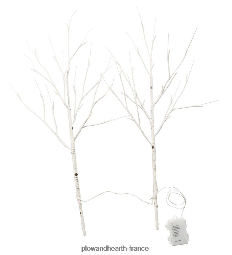 branches de brindilles de bouleau avec lumières à double fonction, lot de 2 Plow & Hearth 8642F61702 articles ménagers