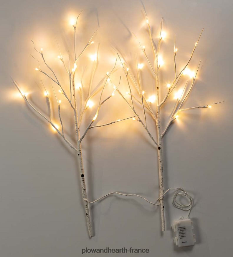 branches de brindilles de bouleau avec lumières à double fonction, lot de 2 Plow & Hearth 8642F61702 articles ménagers