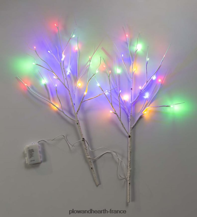 branches de brindilles de bouleau avec lumières à double fonction, lot de 2 Plow & Hearth 8642F61702 articles ménagers