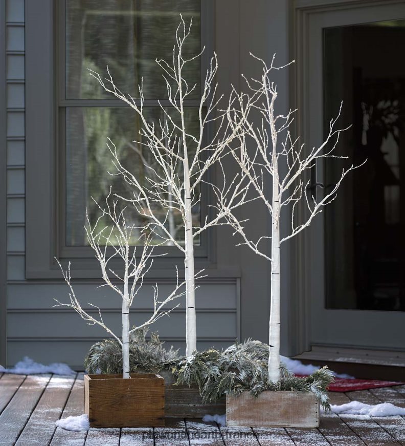 bouleau intérieur/extérieur avec micro lumières Plow & Hearth 8642F61681 articles ménagers