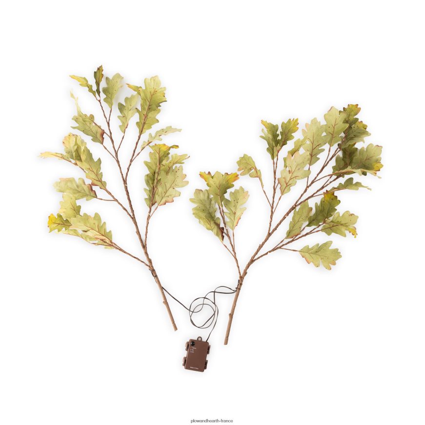 Branches de chêne mousse éclairées intérieur/extérieur, lot de 2 Plow & Hearth 8642F61582 articles ménagers
