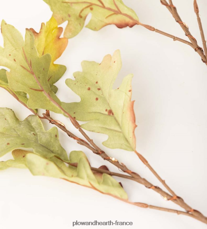 Branches de chêne mousse éclairées intérieur/extérieur, lot de 2 Plow & Hearth 8642F61582 articles ménagers