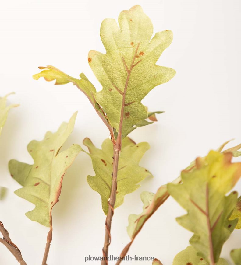 Branches de chêne mousse éclairées intérieur/extérieur, lot de 2 Plow & Hearth 8642F61582 articles ménagers