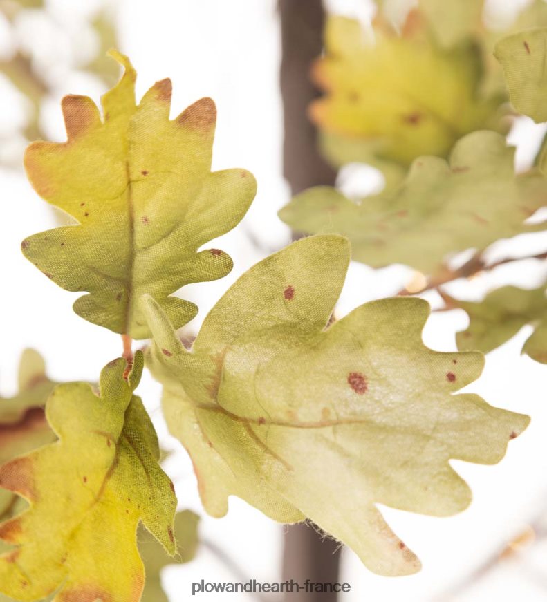 Chênes mousse éclairés électriquement intérieur/extérieur Plow & Hearth 8642F61587 articles ménagers