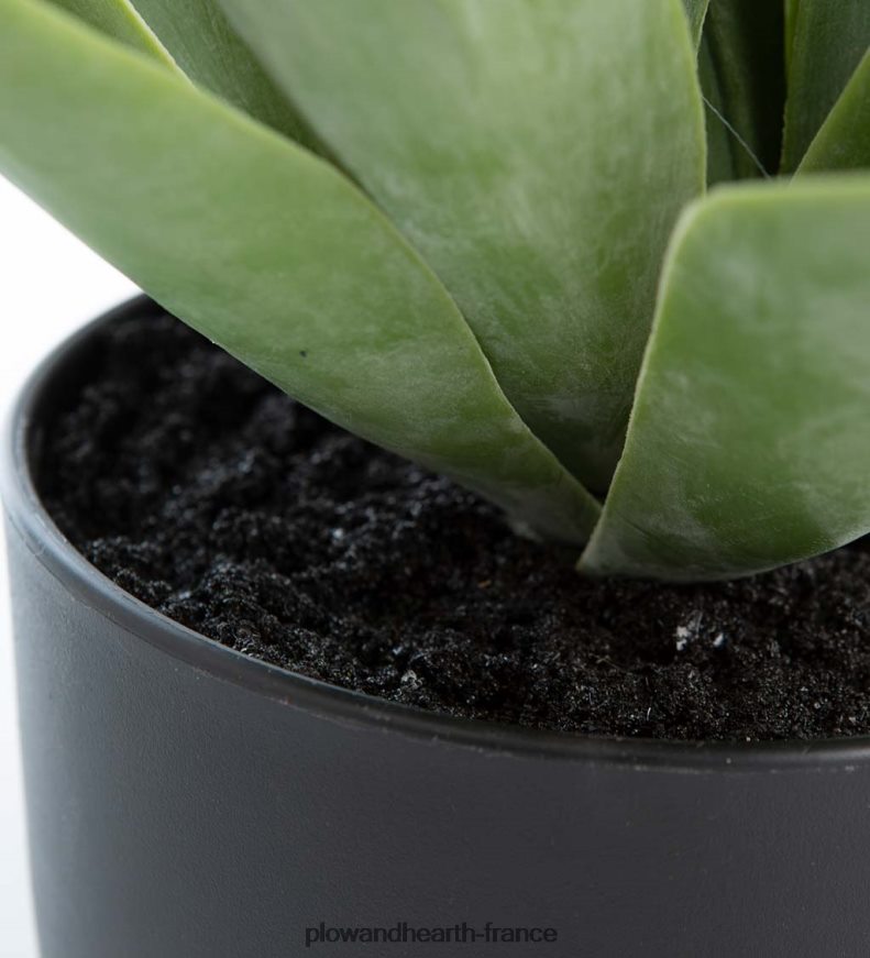 petite fausse vraie plante d'agave Plow & Hearth 8642F61565 articles ménagers