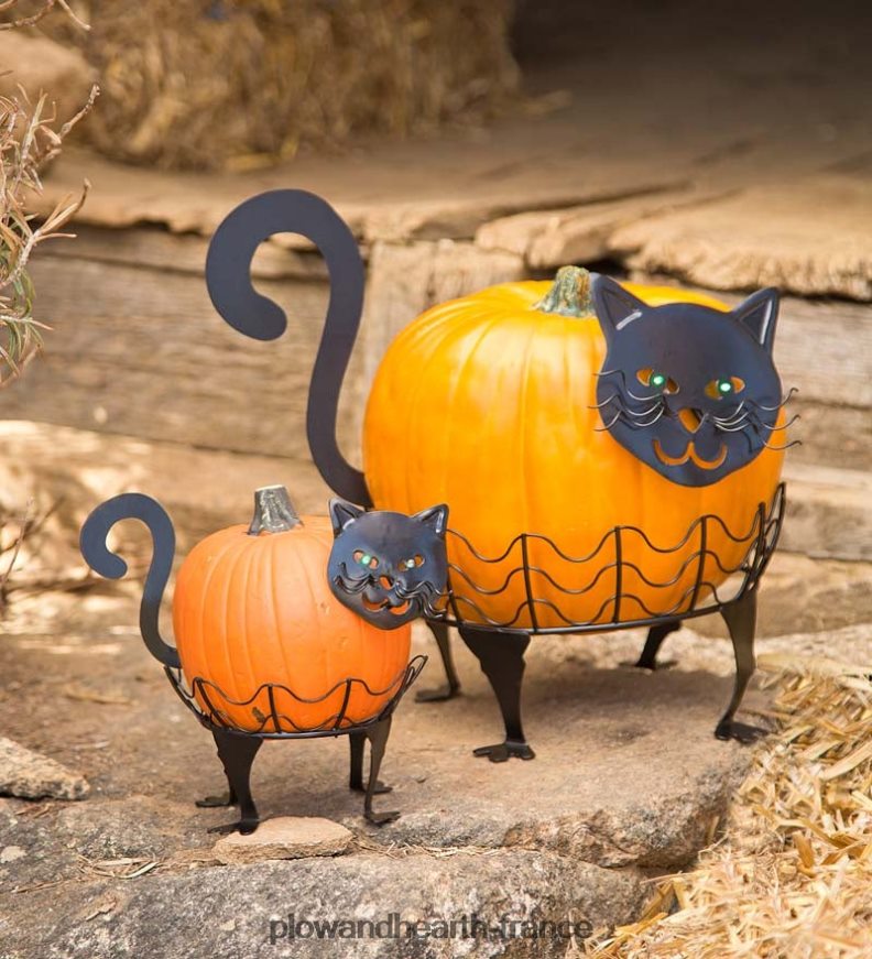 porte-citrouilles chat d'Halloween avec yeux LED verts, lot de 2 - chat Plow & Hearth 8642F61480 articles ménagers