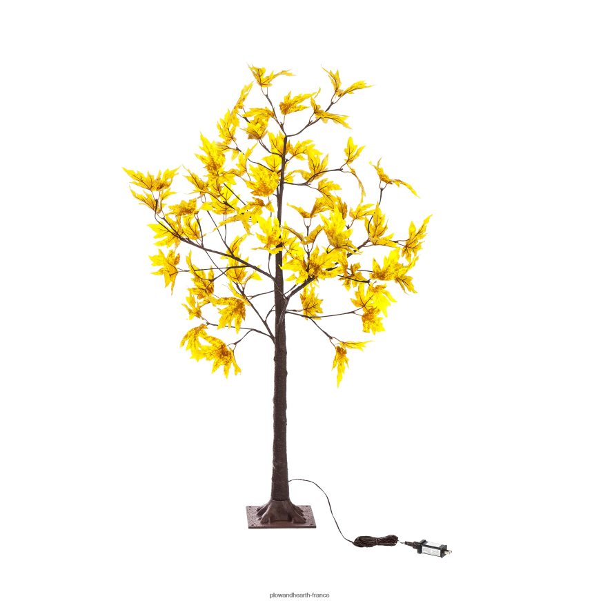 Érables à sucre dorés éclairés électriquement, intérieur/extérieur Plow & Hearth 8642F61577 articles ménagers