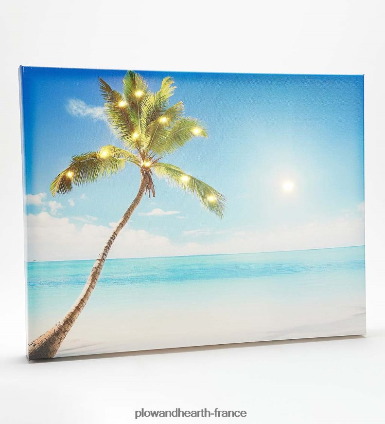 toile d'extérieur illuminée palmier bord de mer Plow & Hearth 8642F61578 articles ménagers