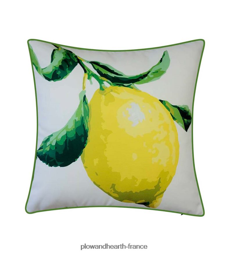 citron du jardin botanique de new york coussin Plow & Hearth 8642F61262 articles ménagers
