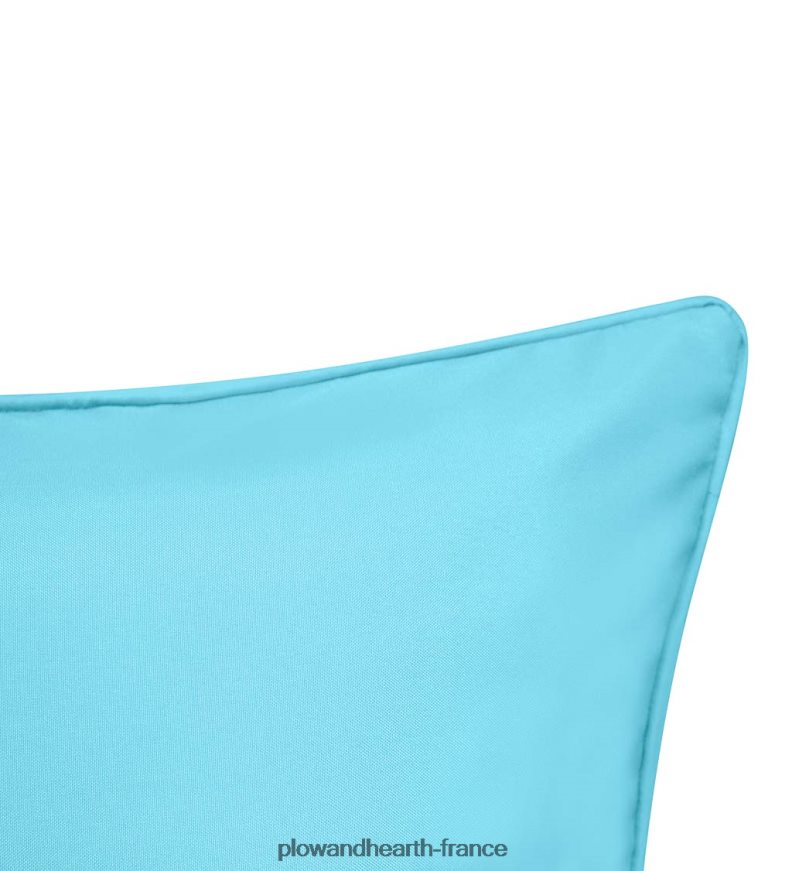 oreiller lombaire libellule brodé intérieur/extérieur - marine Plow & Hearth 8642F61252 articles ménagers