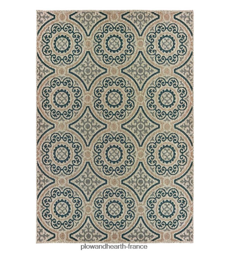 Tapis intérieur/extérieur Cambridge Circles Plow & Hearth 8642F61394 articles ménagers