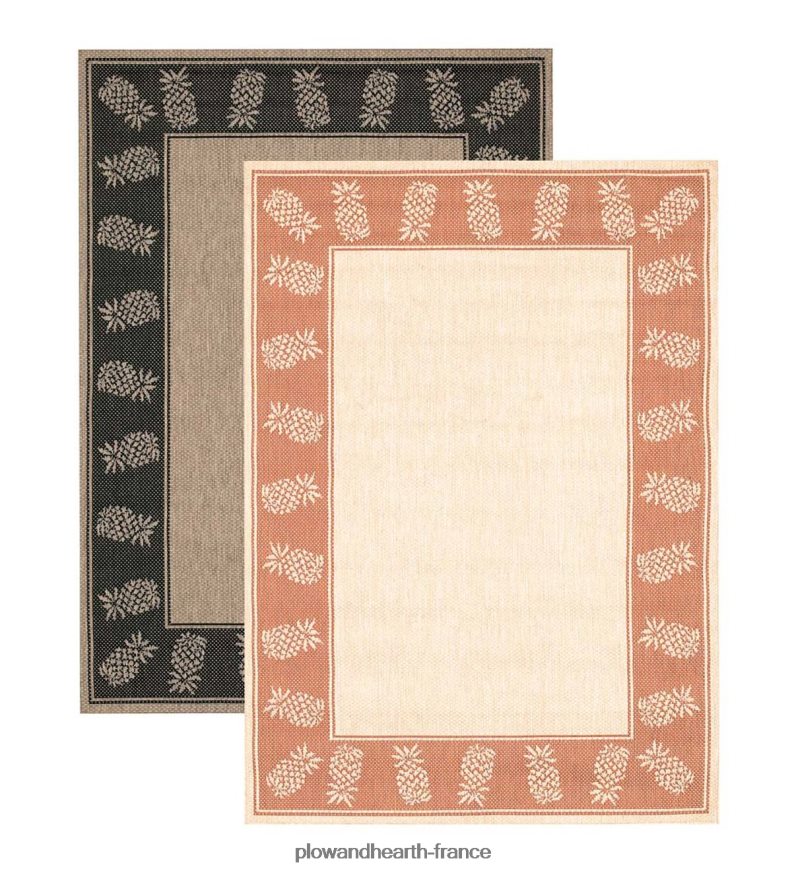 Tapis intérieur/extérieur en polypropylène ananas véranda Plow & Hearth 8642F61441 articles ménagers