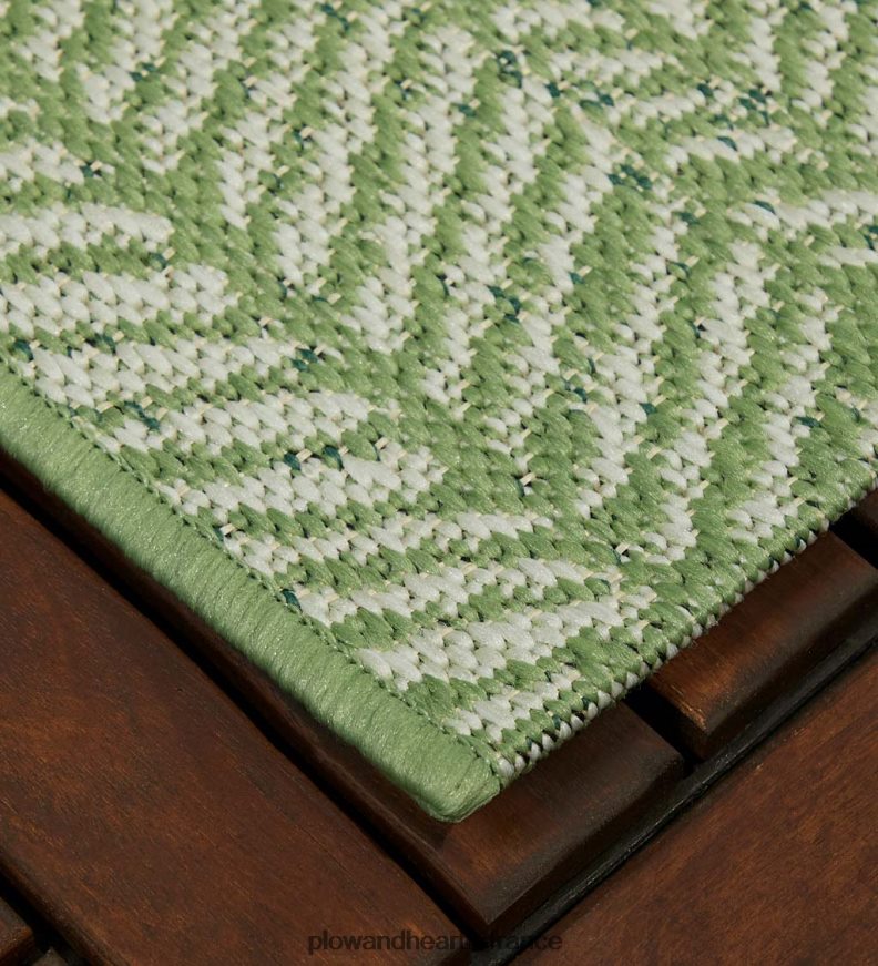 tapis albemarle intérieur/extérieur Plow & Hearth 8642F61364 articles ménagers