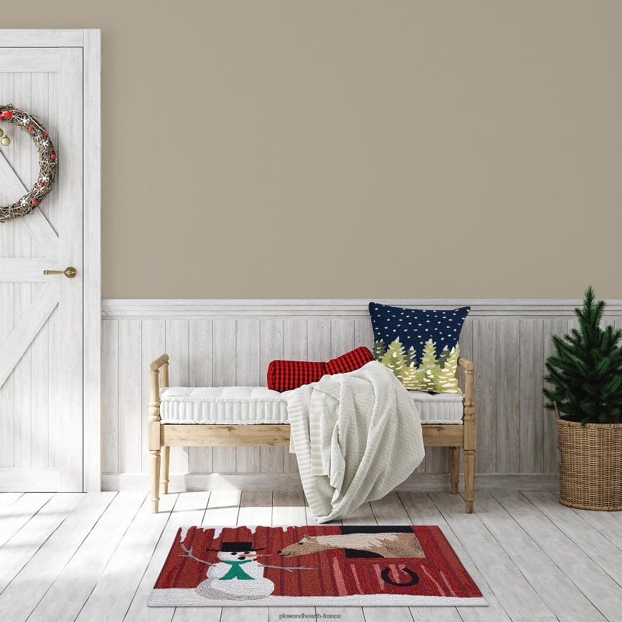 tapis d'appoint intérieur/extérieur crocheté à la main Plow & Hearth 8642F61328 articles ménagers