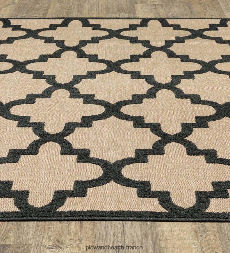 tapis intérieur/extérieur lafayette Plow & Hearth 8642F61447 articles ménagers