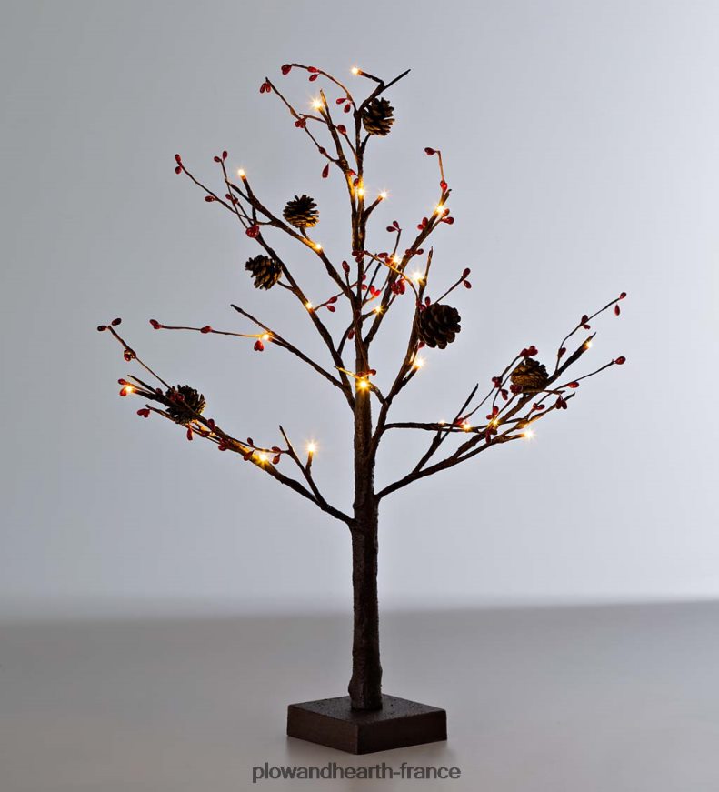 Pomme de pin de table éclairée intérieure/extérieure et arbre à fruits rouges Plow & Hearth 8642F61675 articles ménagers