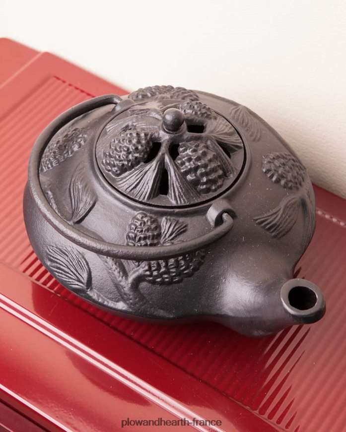 Cuiseur vapeur en fonte avec poêle à bois et motif pomme de pin - Noir Plow & Hearth 8642F62840 accessoires