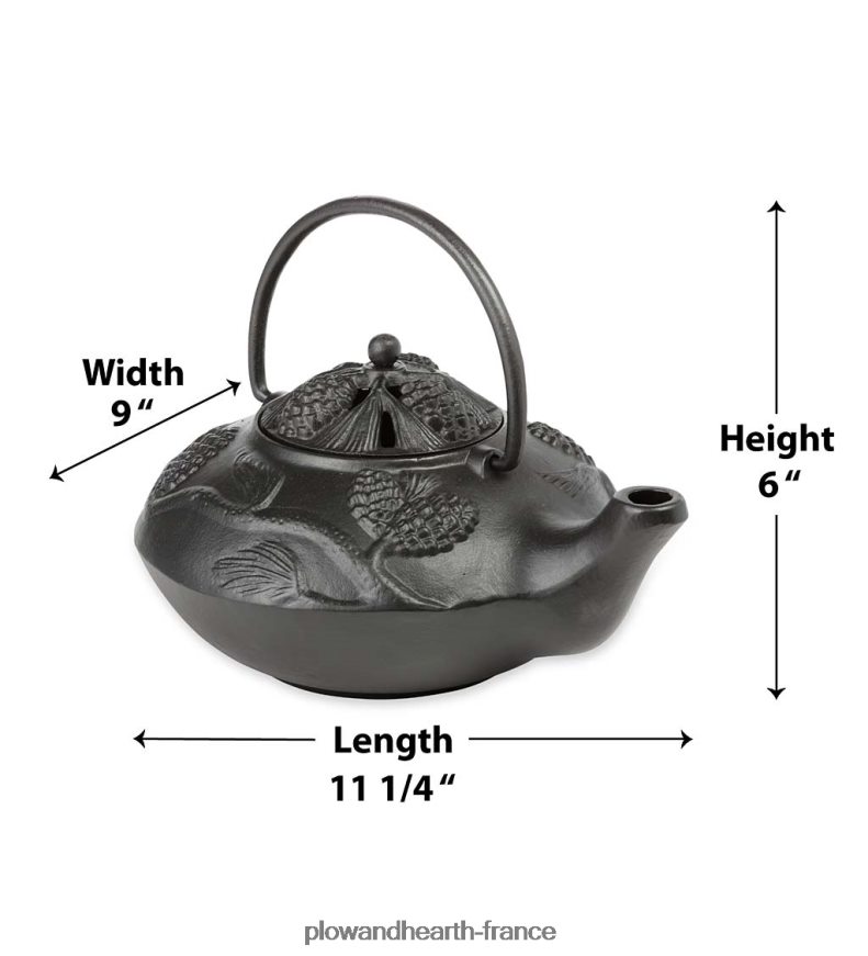 Cuiseur vapeur en fonte avec poêle à bois et motif pomme de pin - Noir Plow & Hearth 8642F62840 accessoires