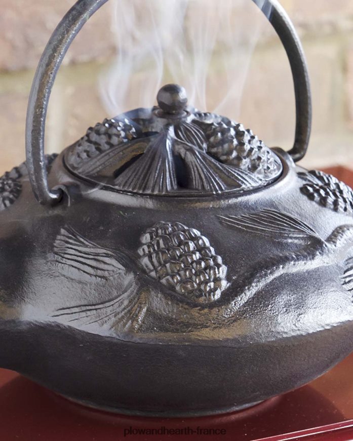 Cuiseur vapeur en fonte avec poêle à bois et motif pomme de pin - Noir Plow & Hearth 8642F62840 accessoires