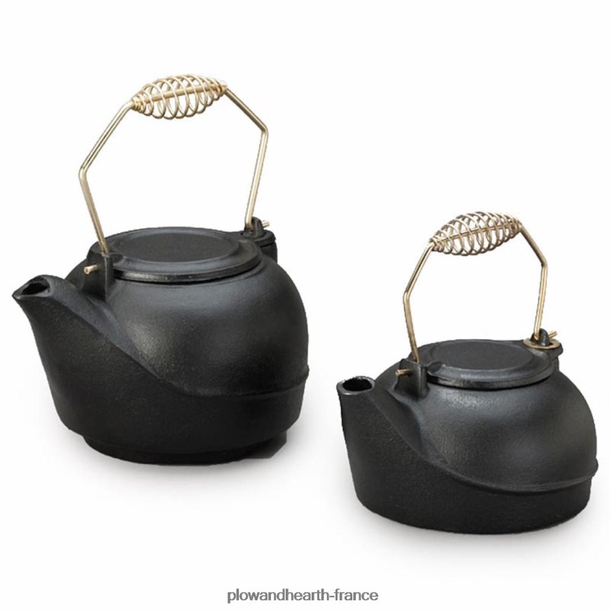 bouilloire à vapeur en fonte Plow & Hearth 8642F62839 accessoires