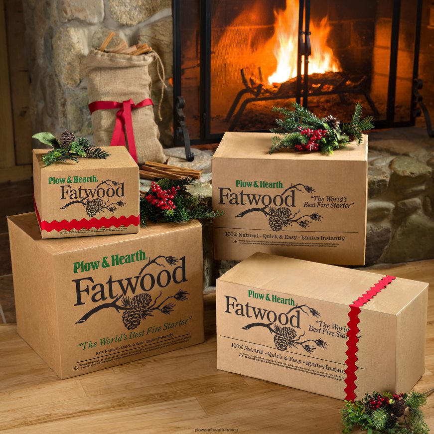 Allume-feu pré-fendu Fatwood Plow & Hearth 8642F62705 cheminée
