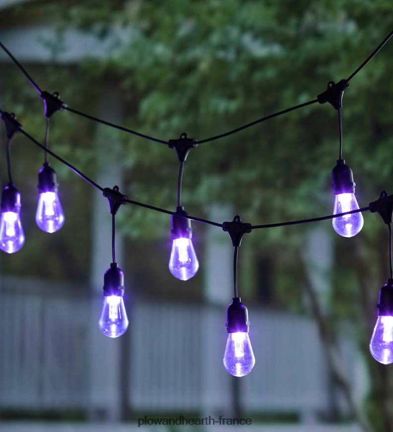 guirlandes solaires multicolores Plow & Hearth 8642F6409 cour et jardin