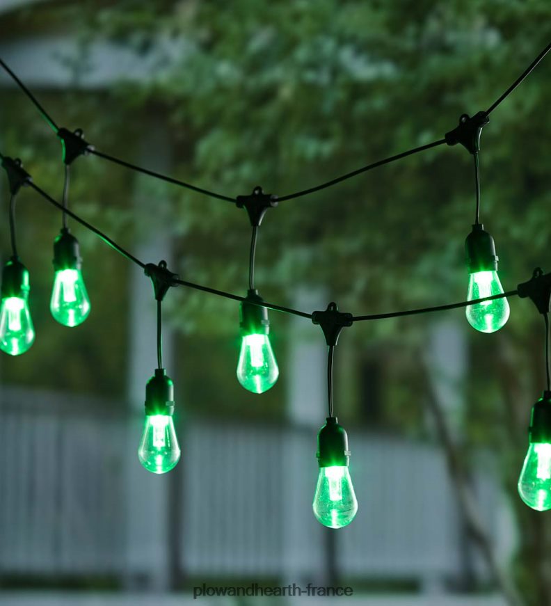 guirlandes solaires multicolores Plow & Hearth 8642F6409 cour et jardin