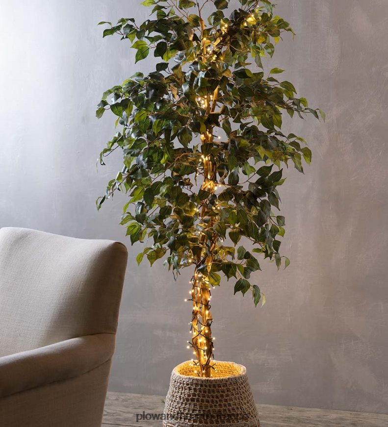 Guirlande lumineuse électrique intérieure/extérieure avec 500 LED blanc chaud ; 36'l Plow & Hearth 8642F638 cour et jardin