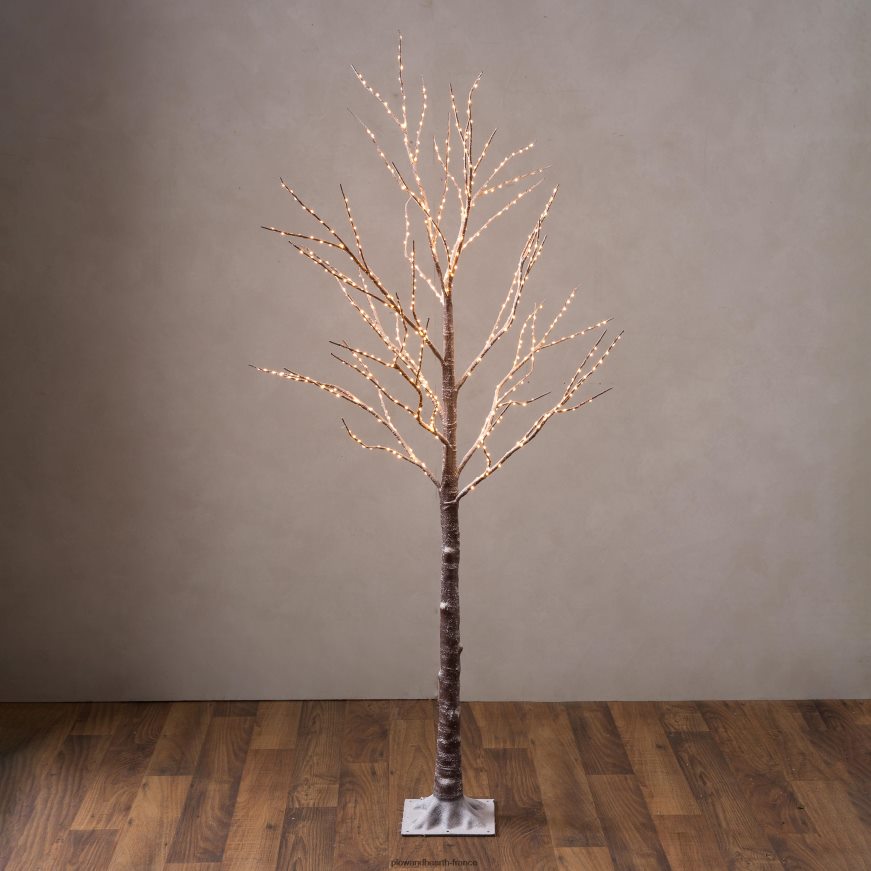 bouleau intérieur/extérieur avec des lumières blanches chaudes Plow & Hearth 8642F623 cour et jardin