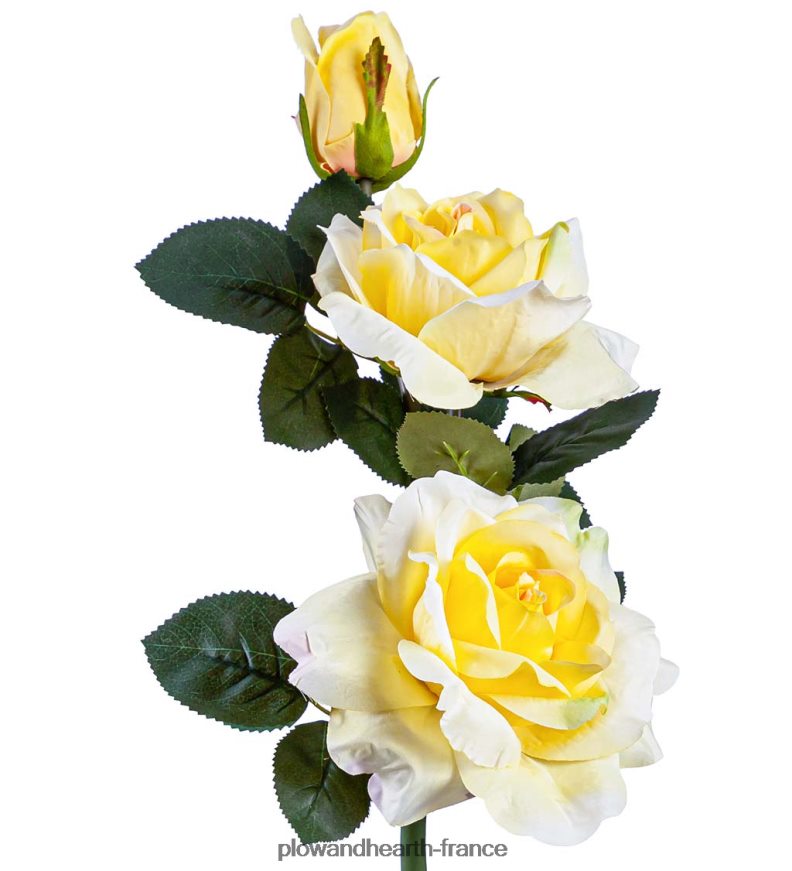 piquet de jardin solaire rose jaune Plow & Hearth 8642F6245 cour et jardin