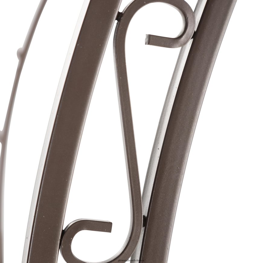 Tonnelle de jardin en métal avec oiseaux et feuilles avec portail Plow & Hearth 8642F6653 cour et jardin