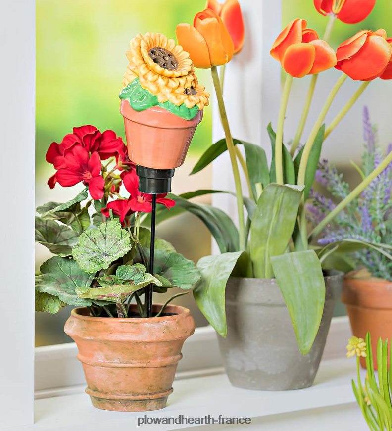 Piège à mouches des fruits et moucherons tout-en-un en céramique avec globe d'arrosage - champignon Plow & Hearth 8642F6905 cour et jardin