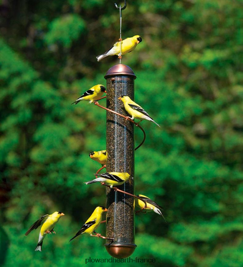 Mangeoire à oiseaux pour pinsons en spirale de couleur cuivre - cuivre Plow & Hearth 8642F6758 cour et jardin