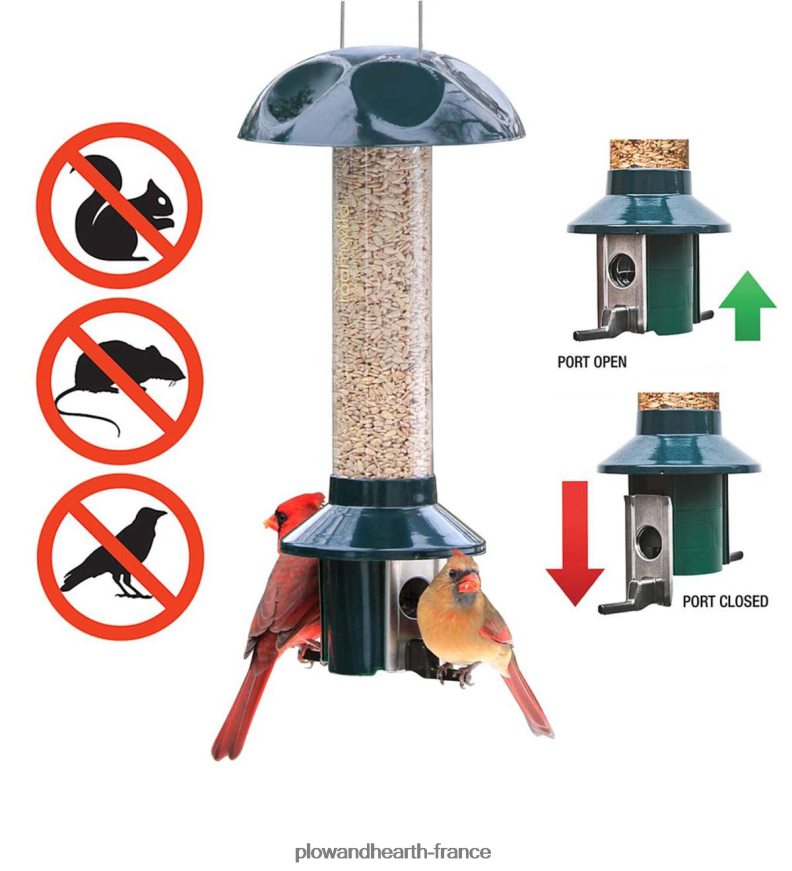 Mangeoire pour oiseaux Nyjer/chardon antiparasitaire pestoff Plow & Hearth 8642F6813 cour et jardin