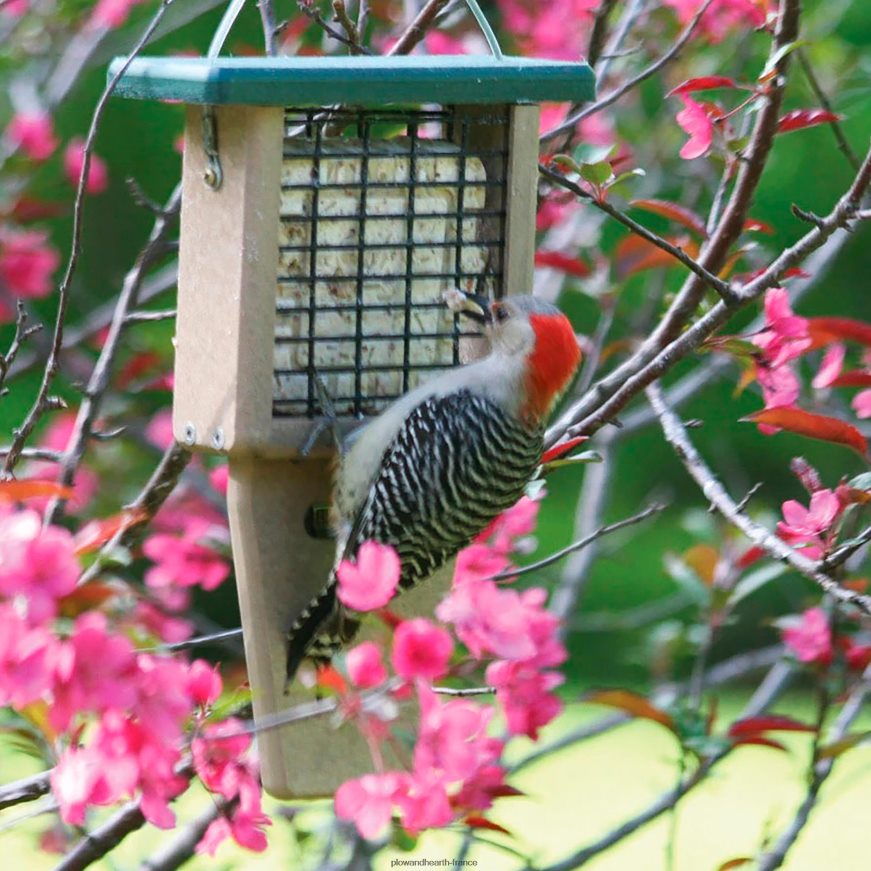 distributeur de suif à gâteau unique Plow & Hearth 8642F6773 cour et jardin