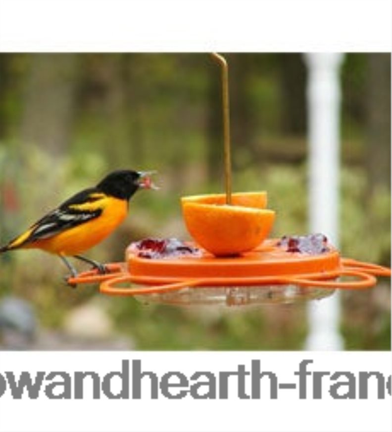 mangeoire à orioles oriolefest, 12 oz. Plow & Hearth 8642F6824 cour et jardin