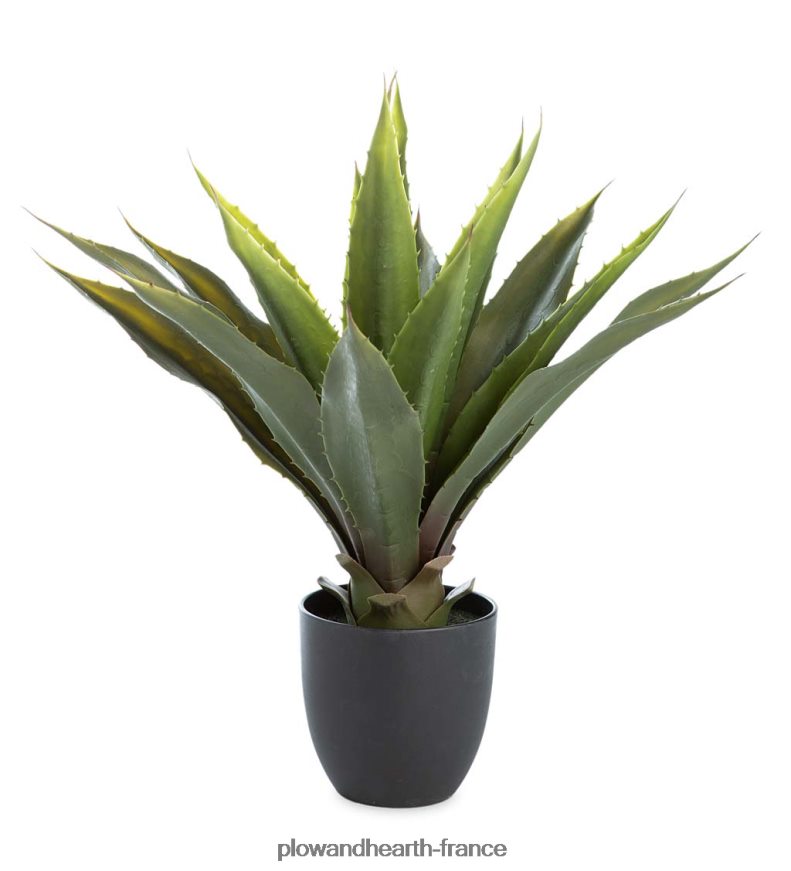 grande fausse vraie plante d'agave Plow & Hearth 8642F63239 cour et jardin