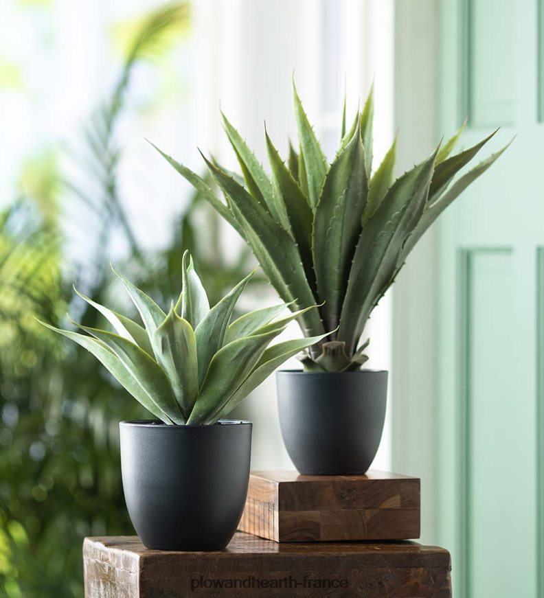grande fausse vraie plante d'agave Plow & Hearth 8642F63239 cour et jardin
