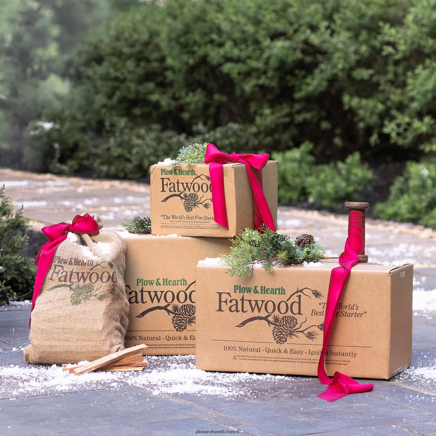 Allume-feu Fatwood, boîte de 35 lb Plow & Hearth 8642F62995 saisonniers et cadeaux