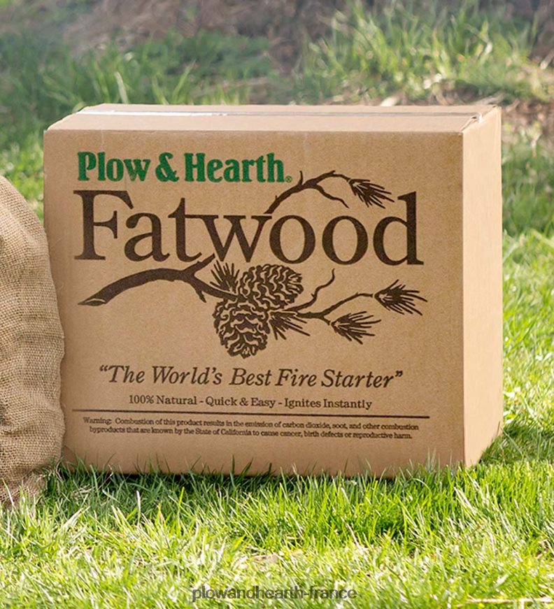 Allume-feu Fatwood, boîte de 35 lb Plow & Hearth 8642F62995 saisonniers et cadeaux